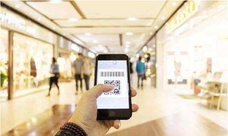 《战斗鸡系统软件开发 广州软件行业的创新实践》